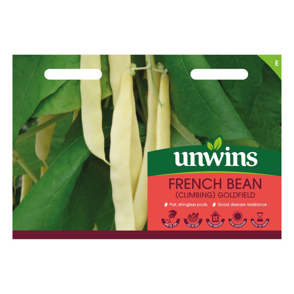 Unwins Climbing French Bean Goldfield Seeds 5051618034838 2